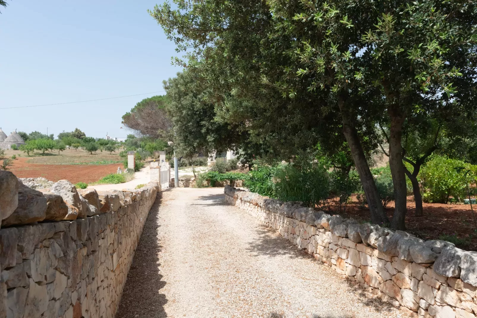Trullo Filippo Ostuni-Gärten Sommer