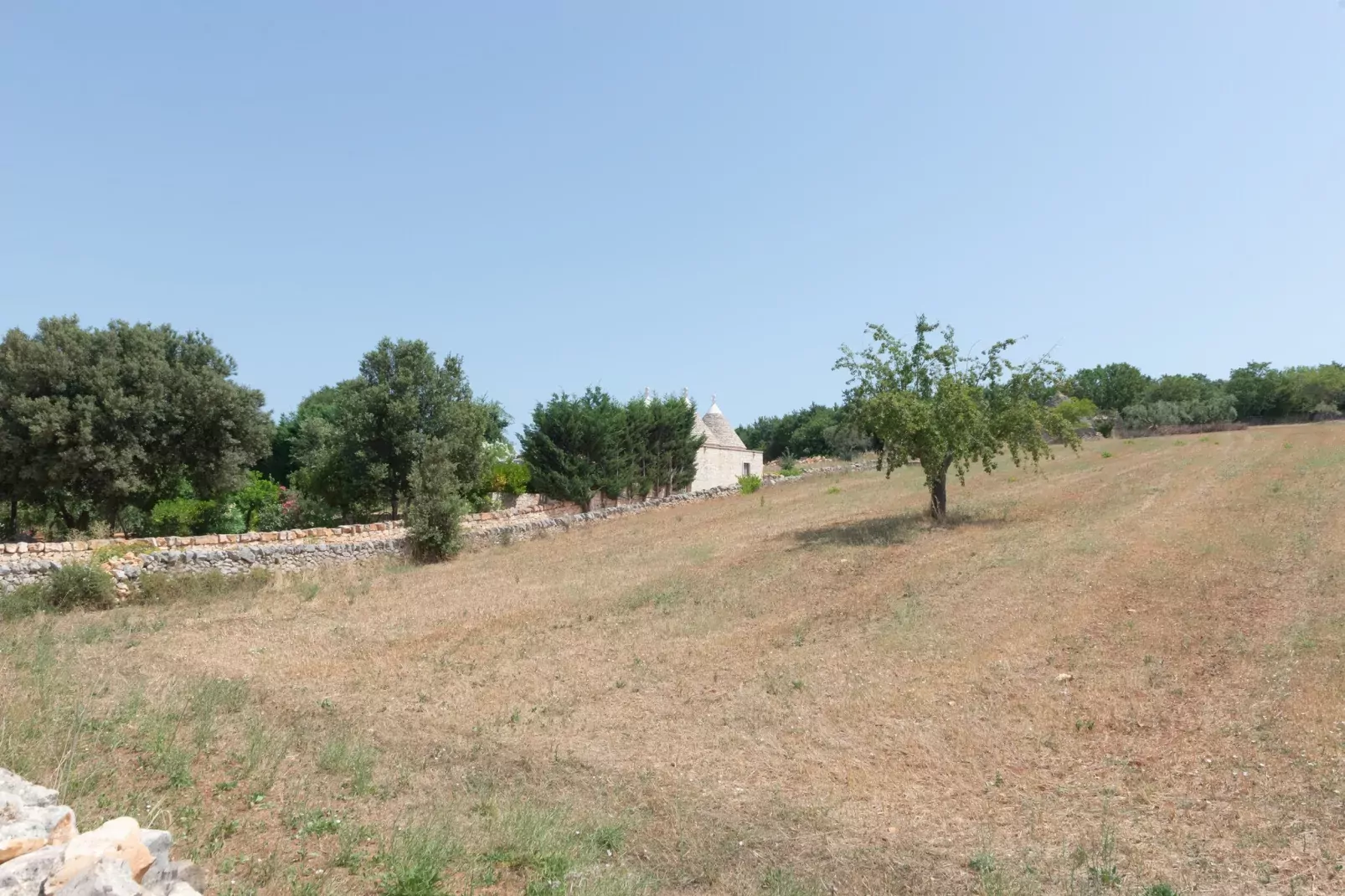 Trullo Filippo Ostuni-Gärten Sommer