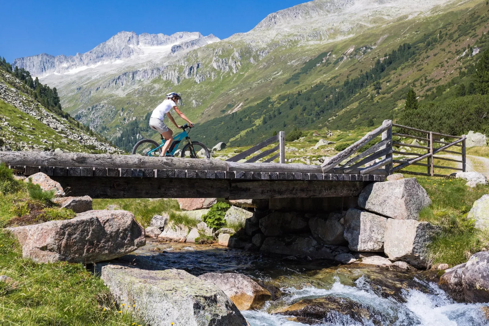 Chalet Rosenalm-Areas summer 1km