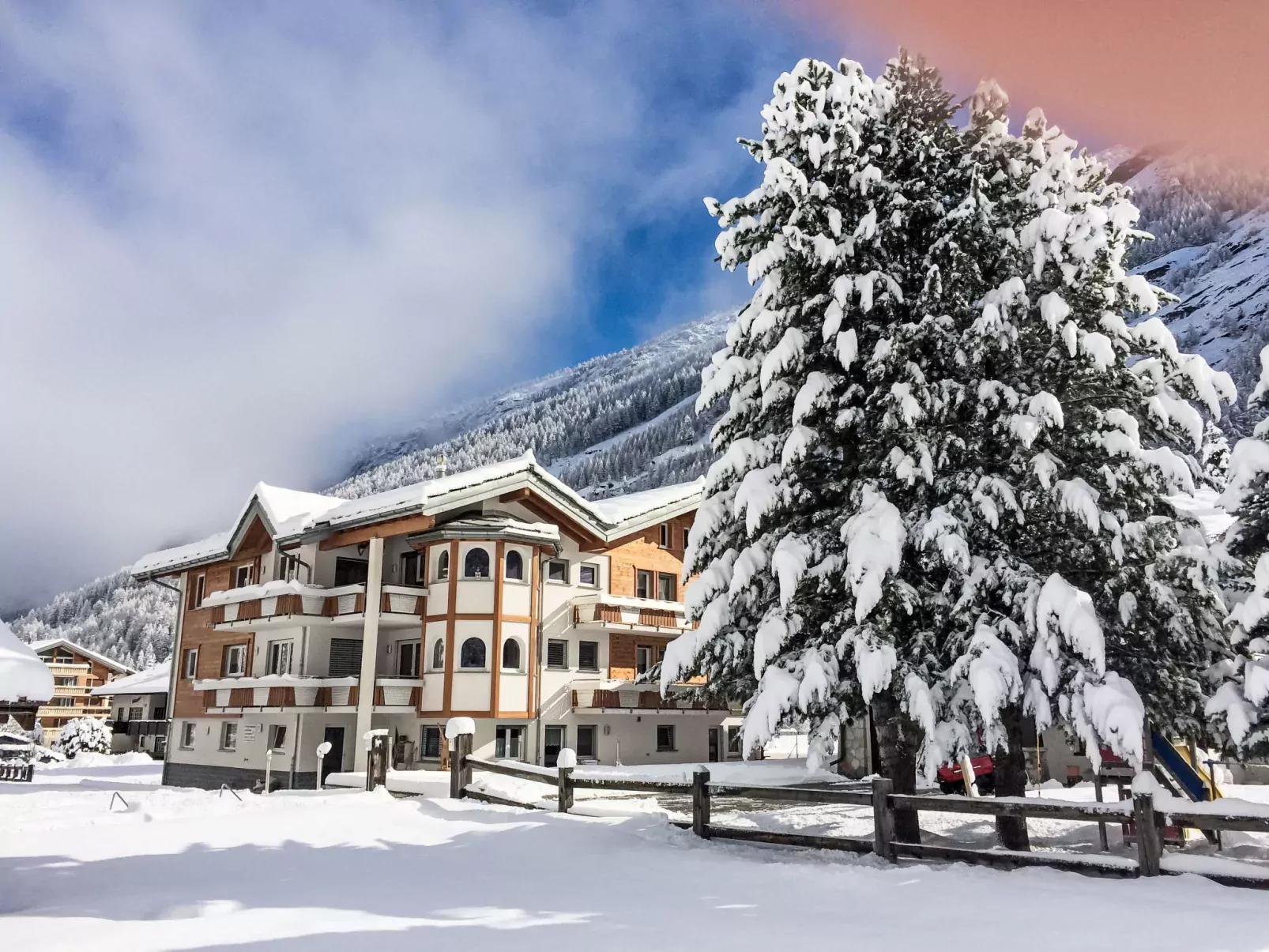 Alpenstern Distel-Outside