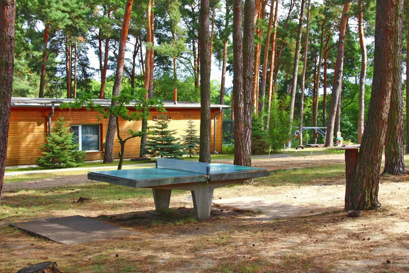 Bungalow 47 qm 4 Pers-Areas summer 1km