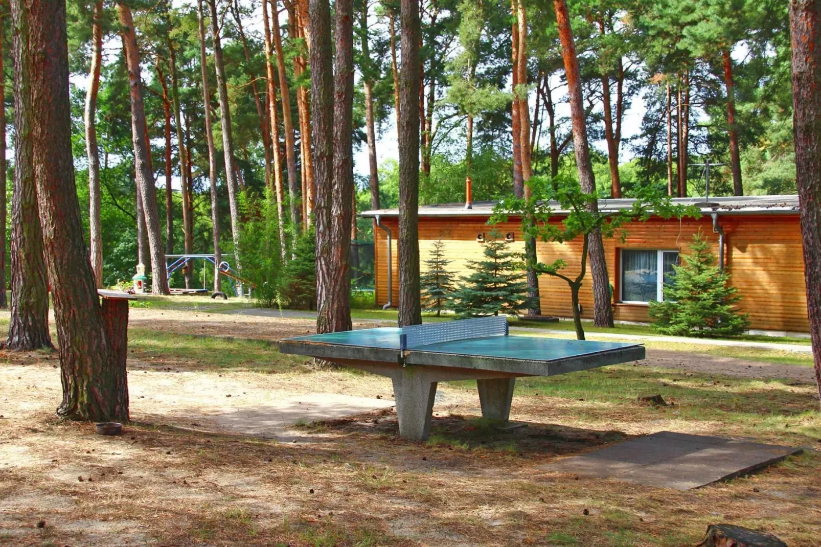Bungalow 47 qm 4 Pers-Areas summer 1km