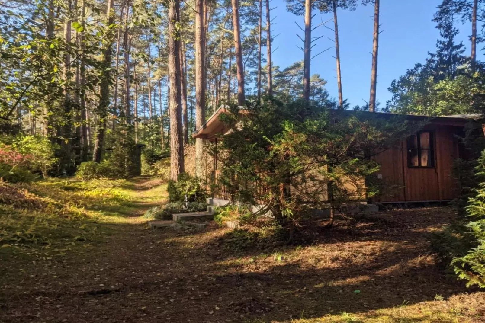 Bungalow 47 qm 4 Pers-Areas summer 1km
