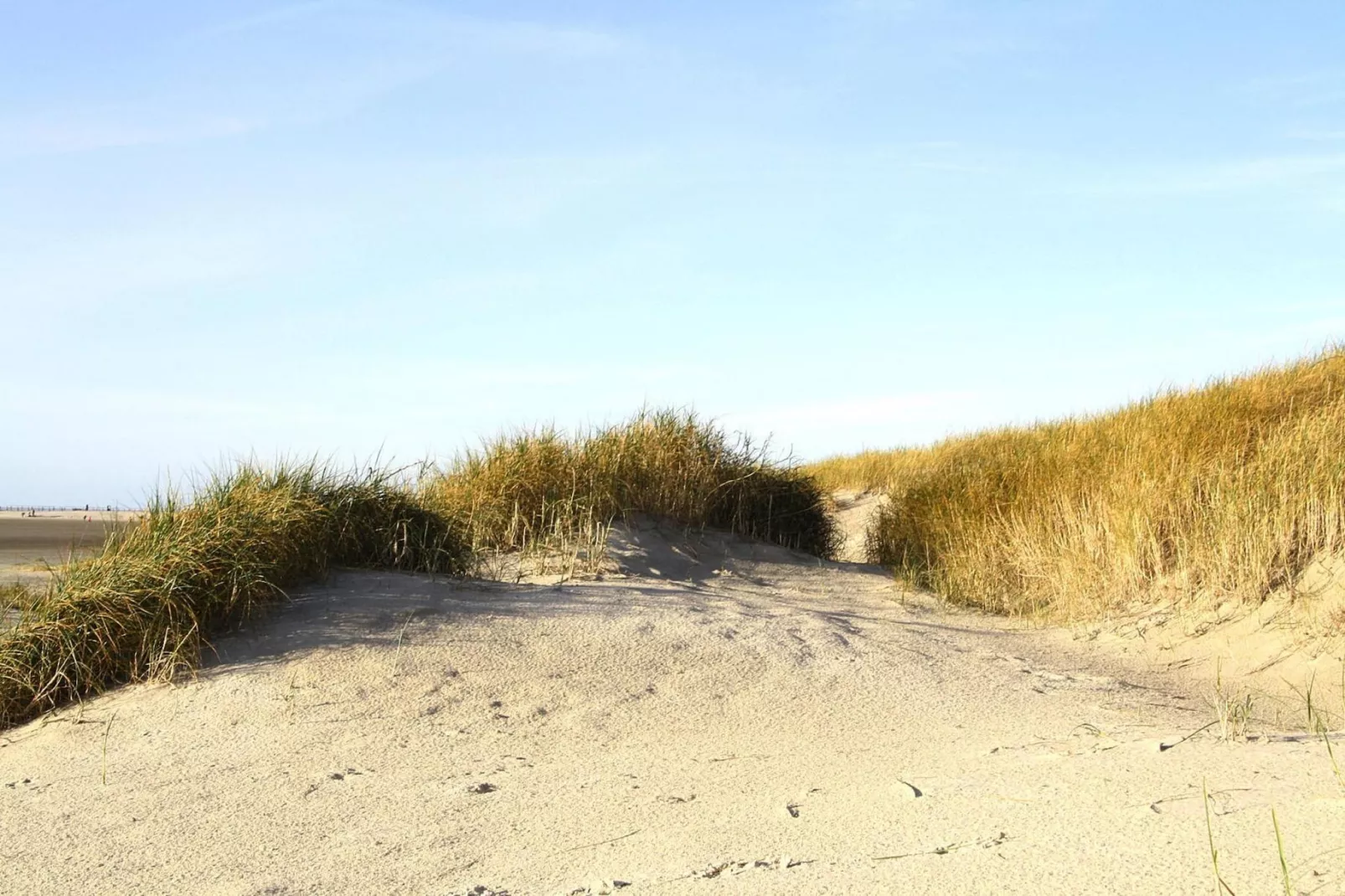 Ferienwohnung Watt 2-Areas summer 5km