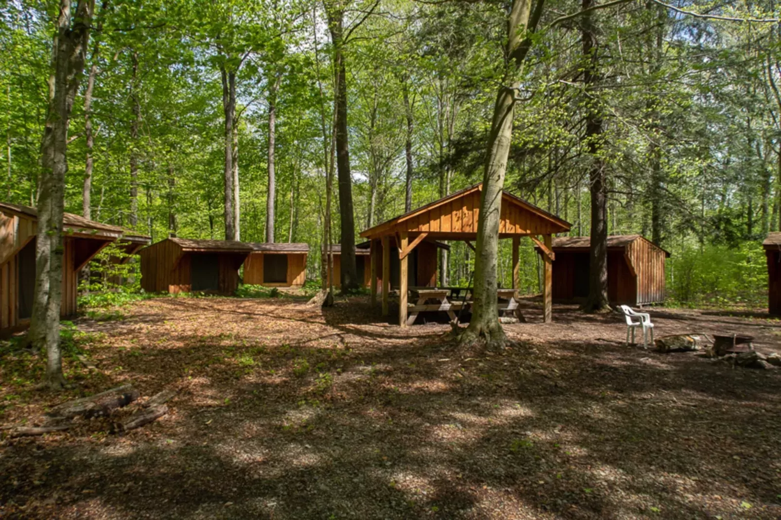 Bungalow 47 qm 4 Pers-Areas summer 5km