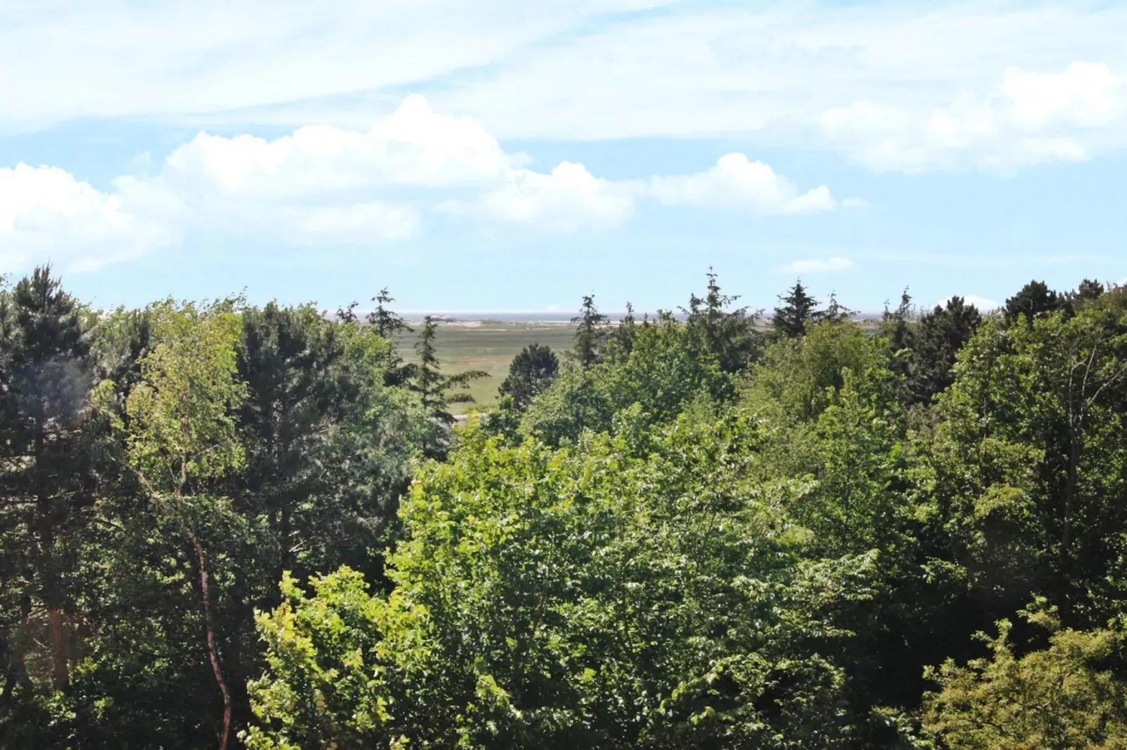 Ferienwohnung Nordseeblick in St Peter-Ording-Gebiete Sommer 1 km