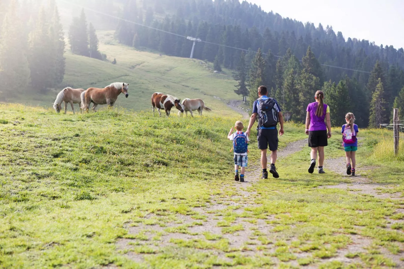 Edelweißanger-Areas summer 5km