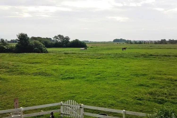 Ferienwohnung De ole Krabbenfischer Tönning-Vue