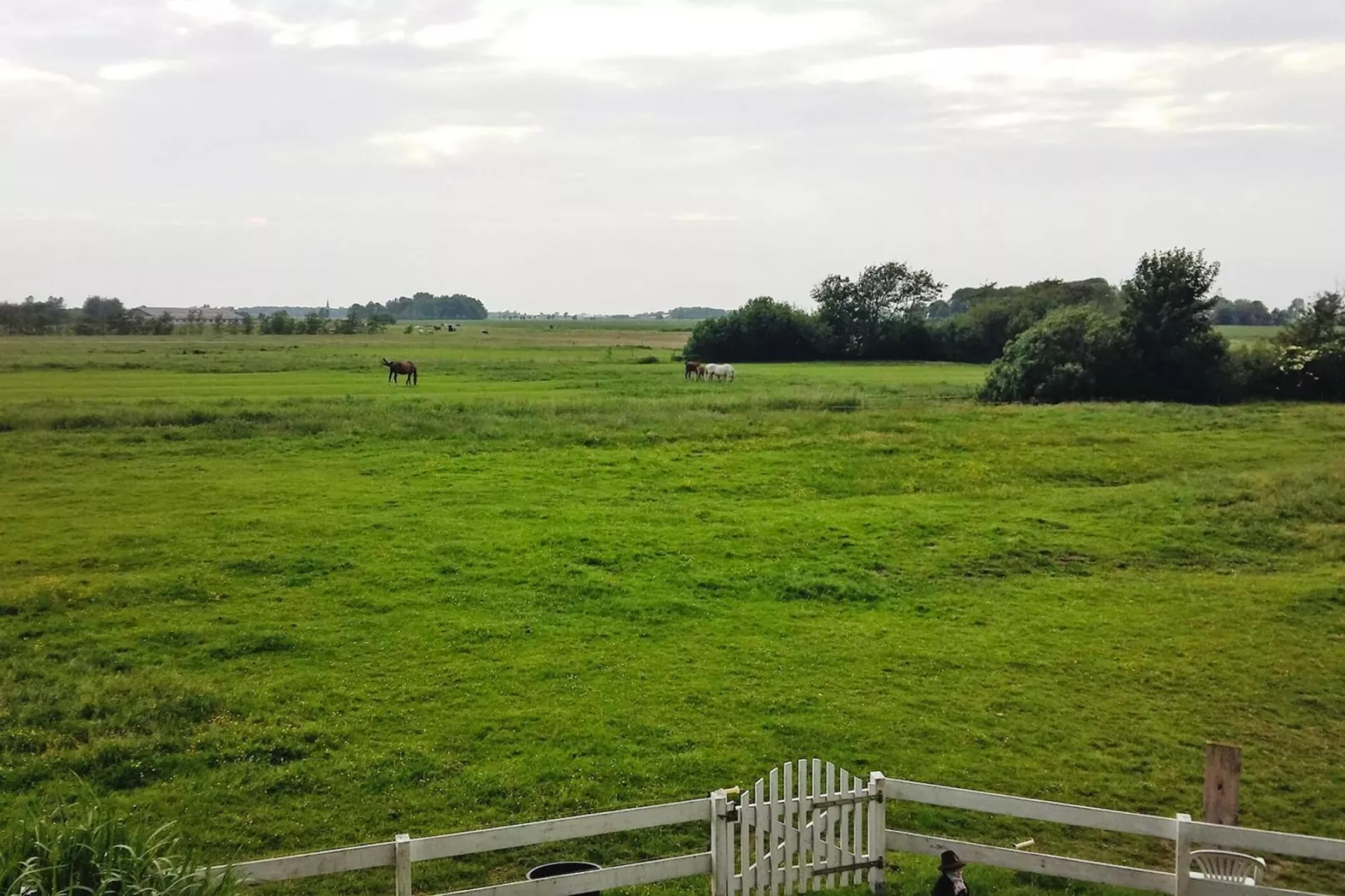 Ferienwohnung bi uns to Hus Tönning-View summer