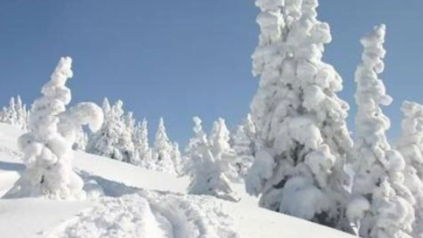 Fintinn-Area winter 5km