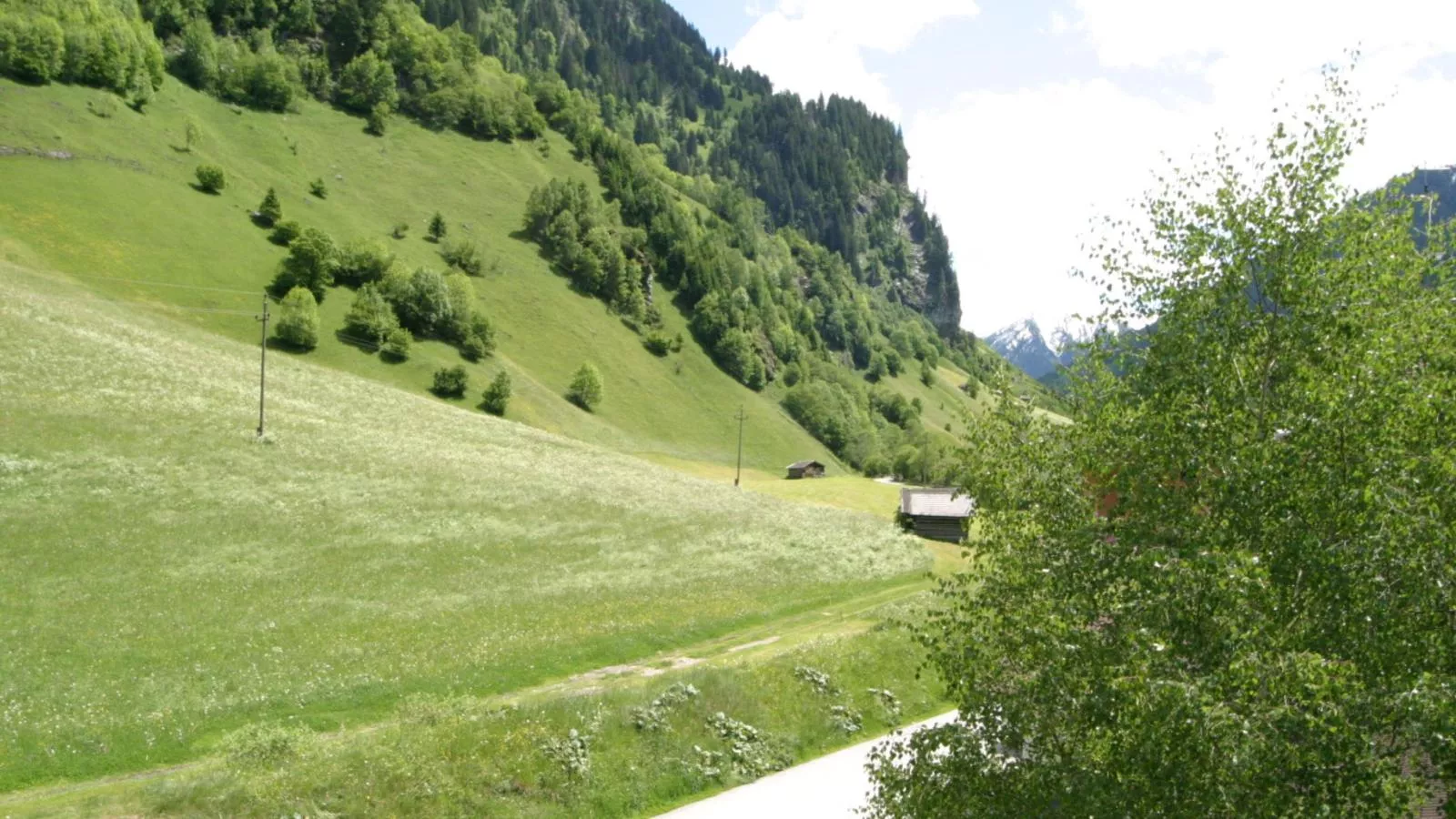 Fintinn-View