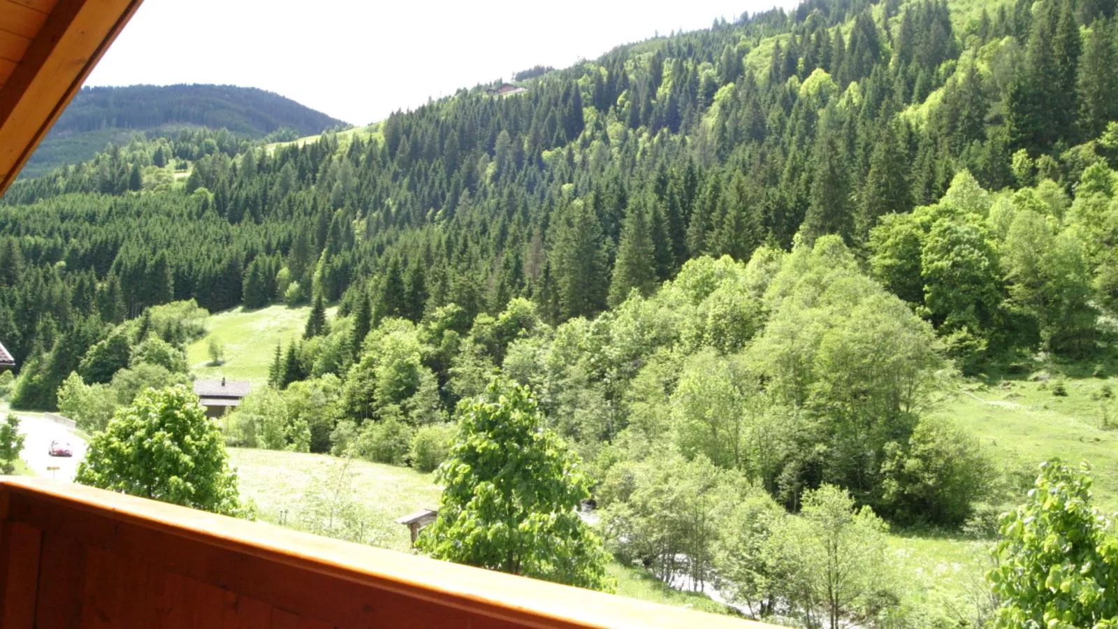 Fintinn-View