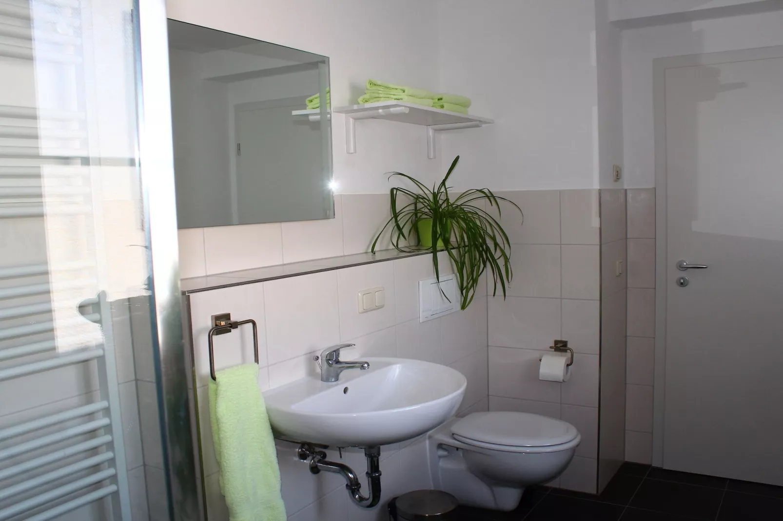 Koenigstein-Bathroom