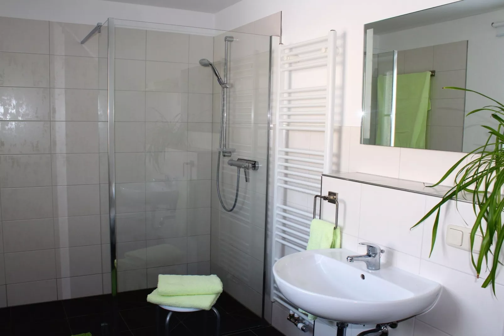 Koenigstein-Bathroom