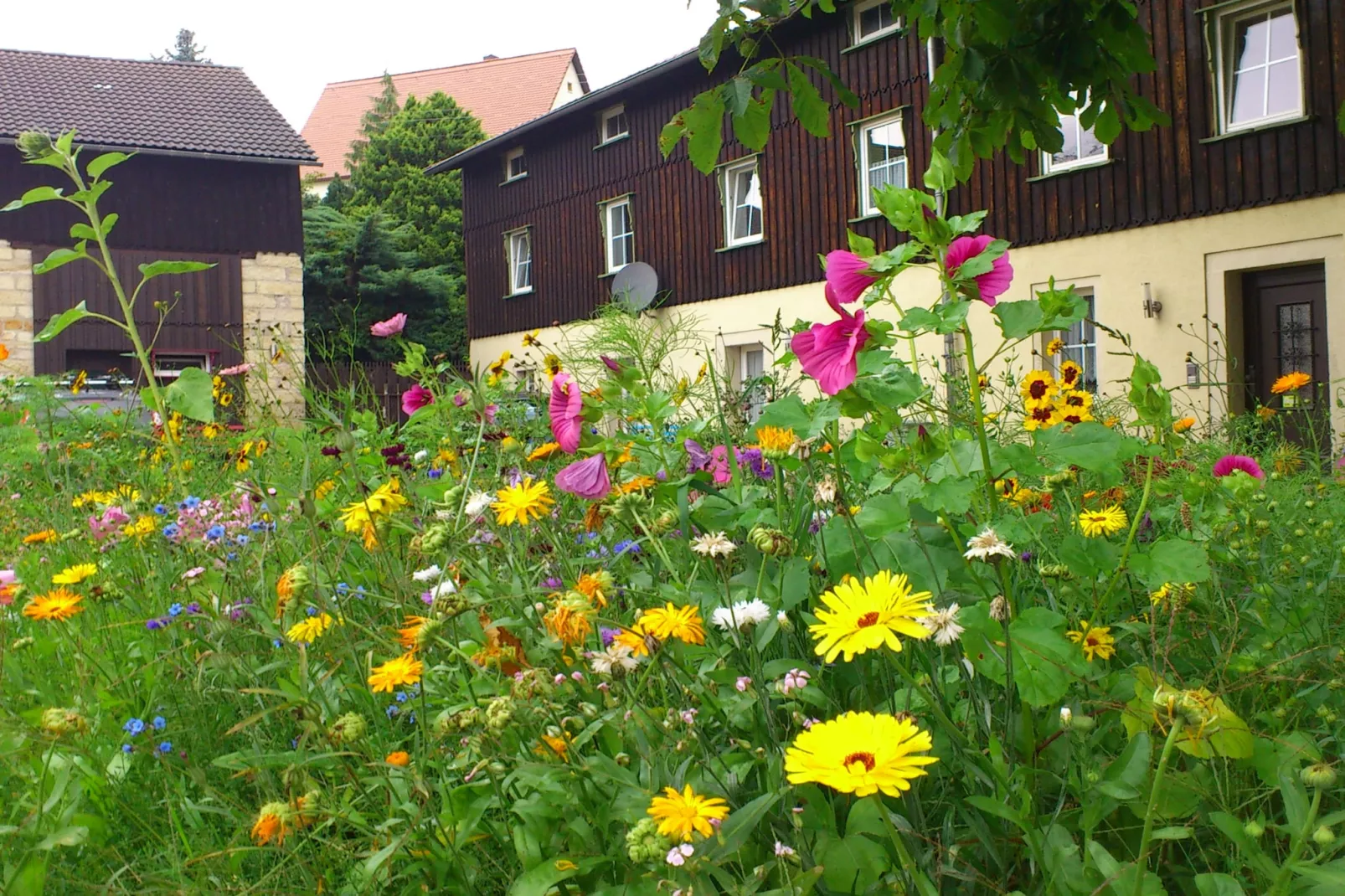 Koenigstein-Gardens summer