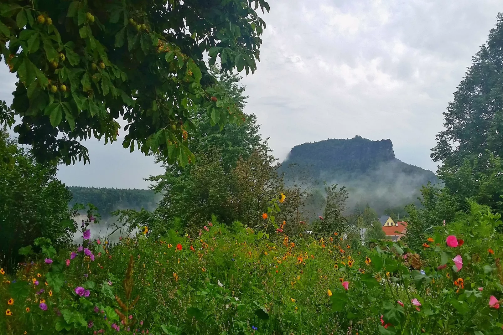 Koenigstein-View summer