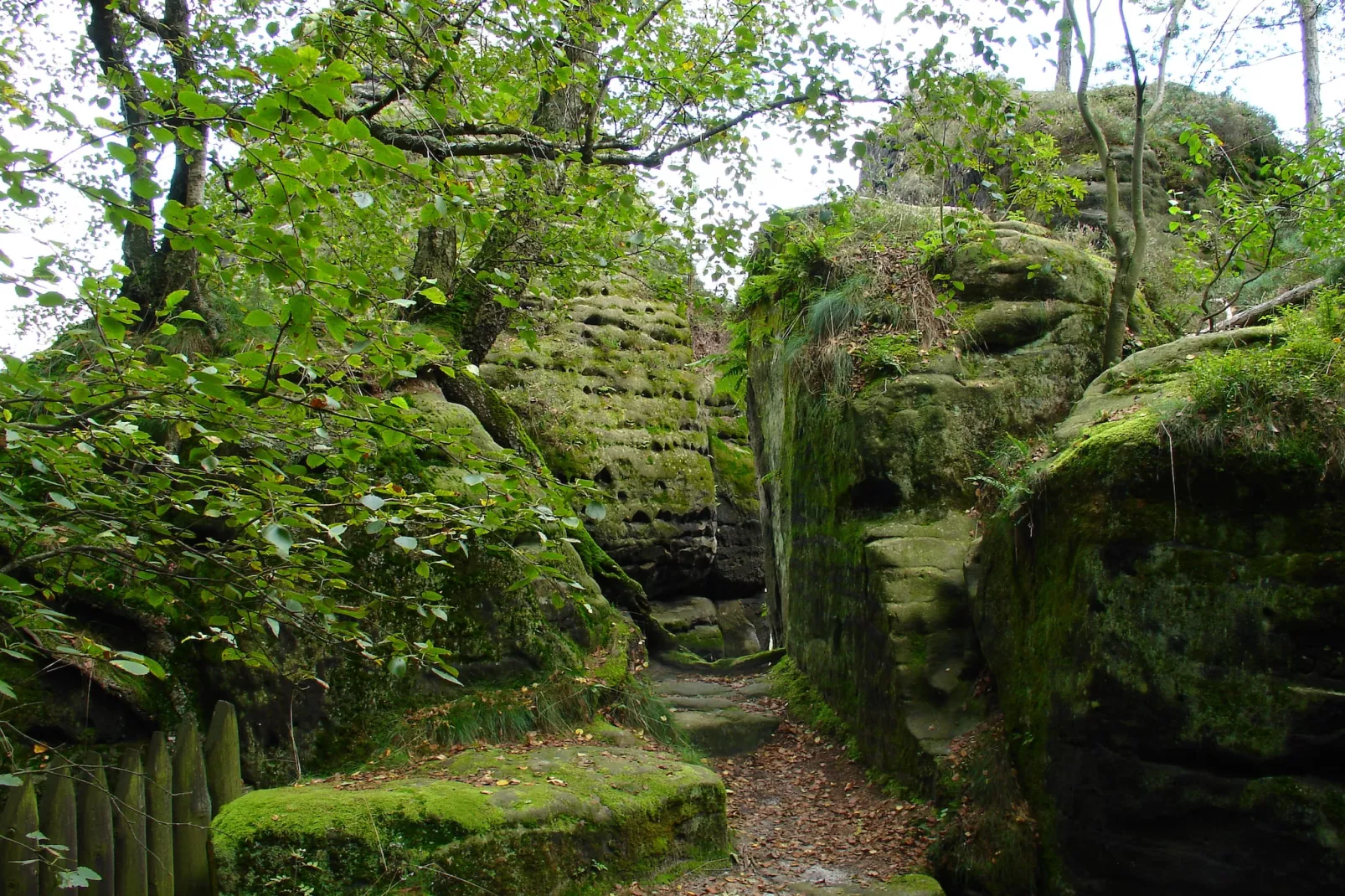 Koenigstein-Areas summer 1km