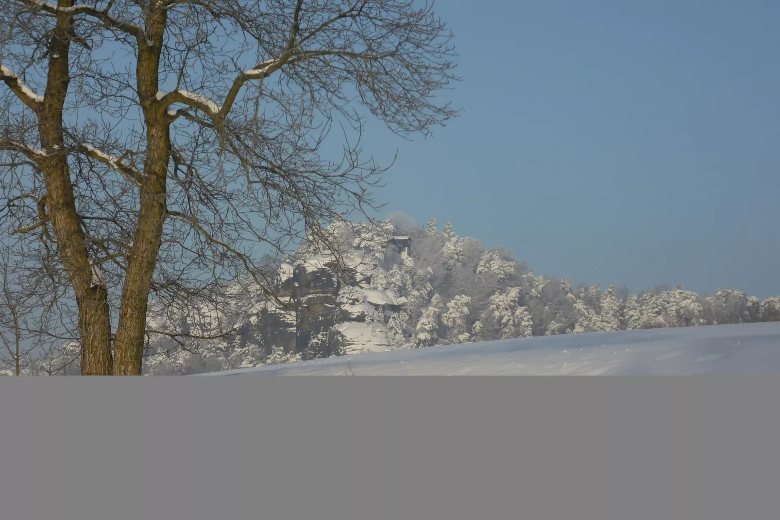 Koenigstein-Area winter 1km