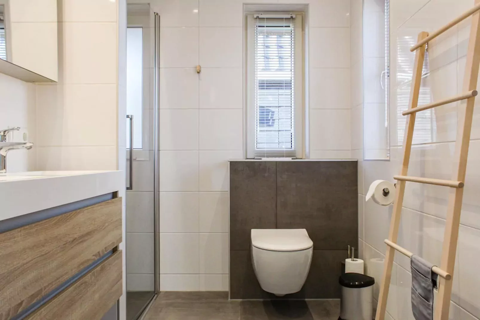 Recreatiepark Idskenhuizen 8-Badezimmer