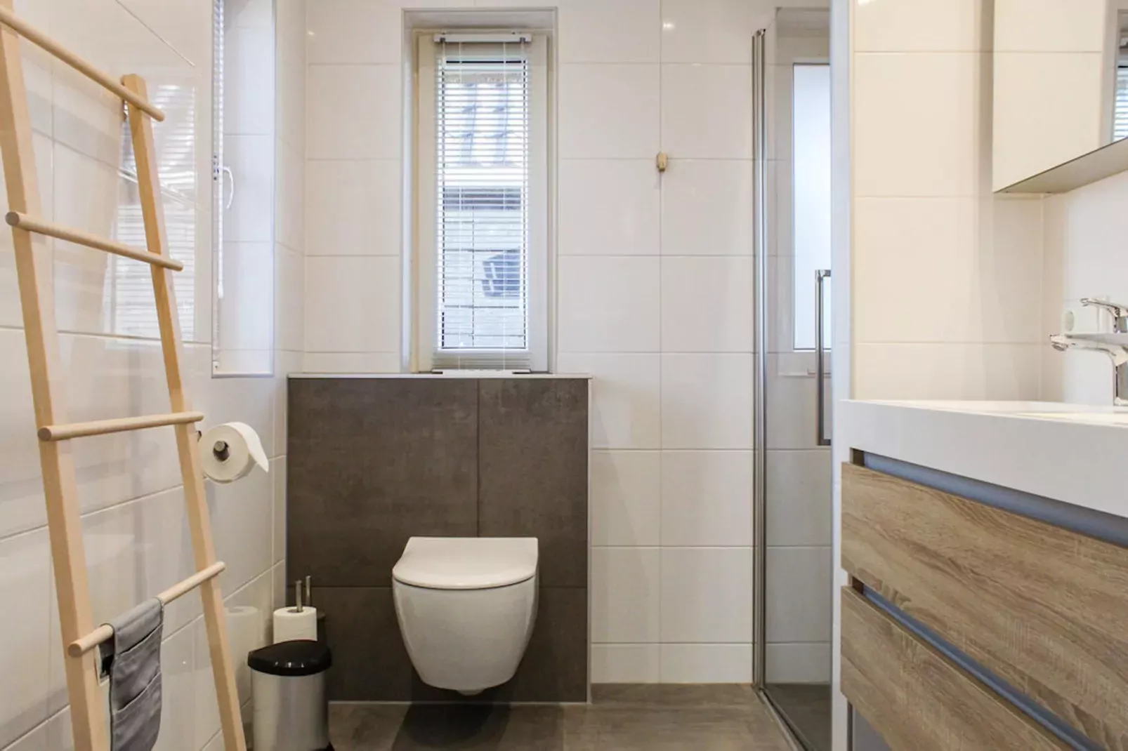 Recreatiepark Idskenhuizen 8-Badezimmer