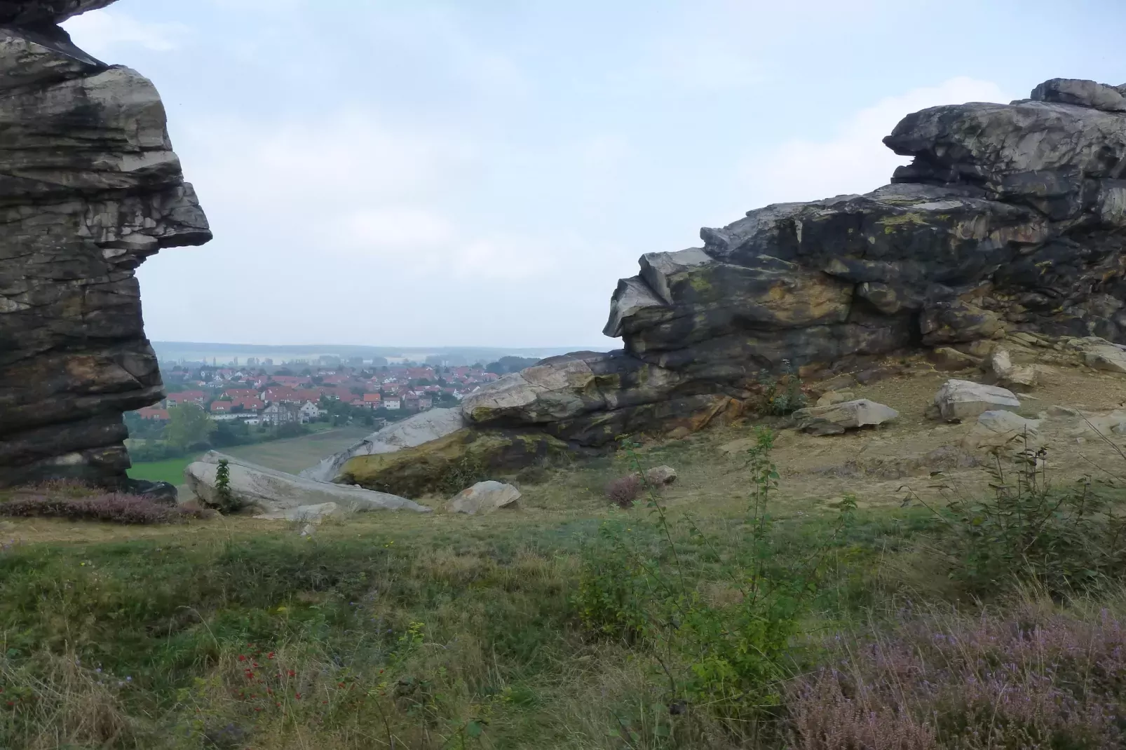 Im Harz-Gärten Sommer