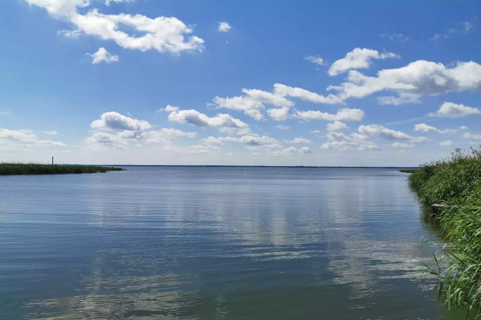Urlaub auf der Insel Usedom-Gardens summer