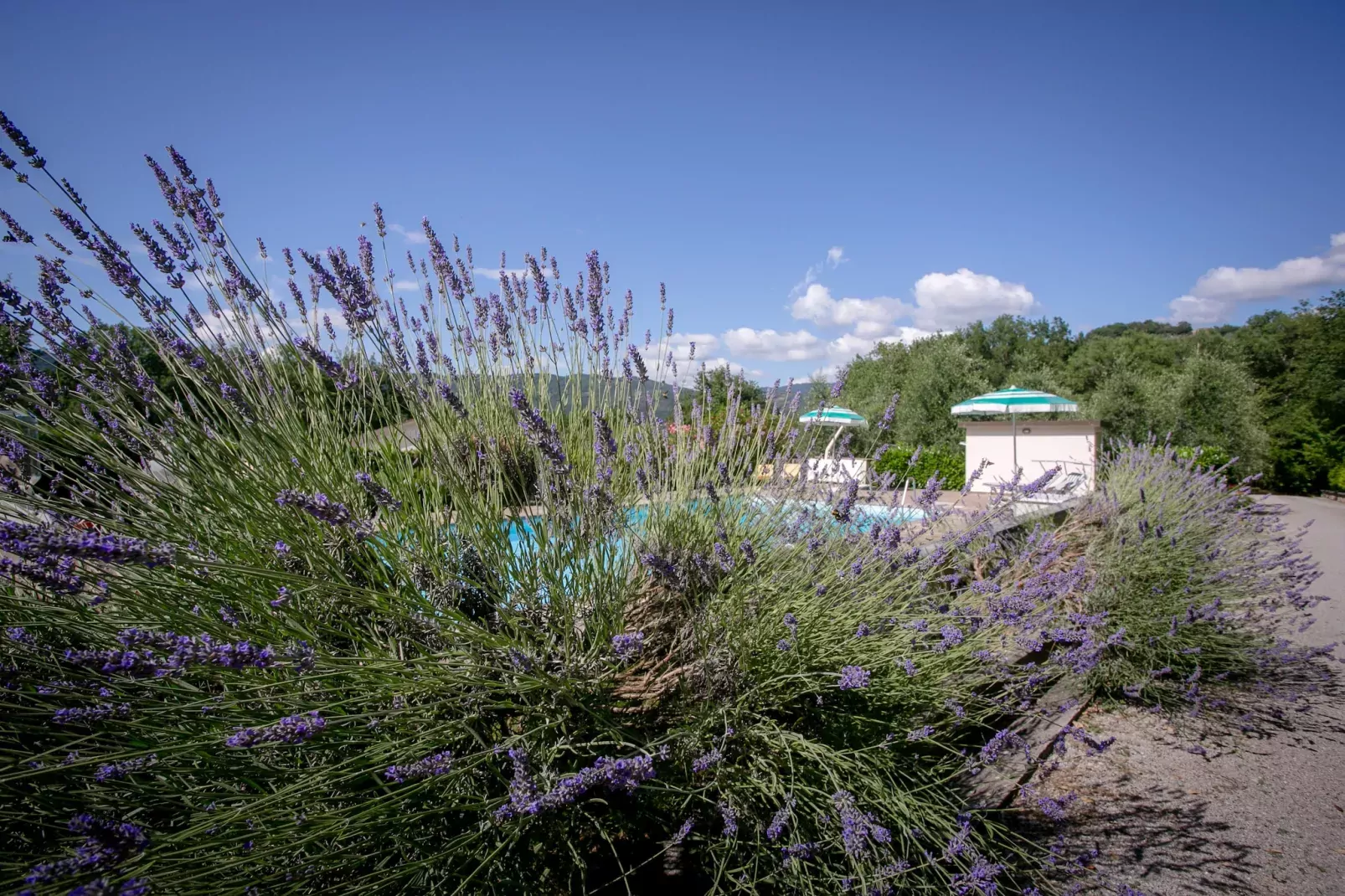Giardino delle Giare-Pool