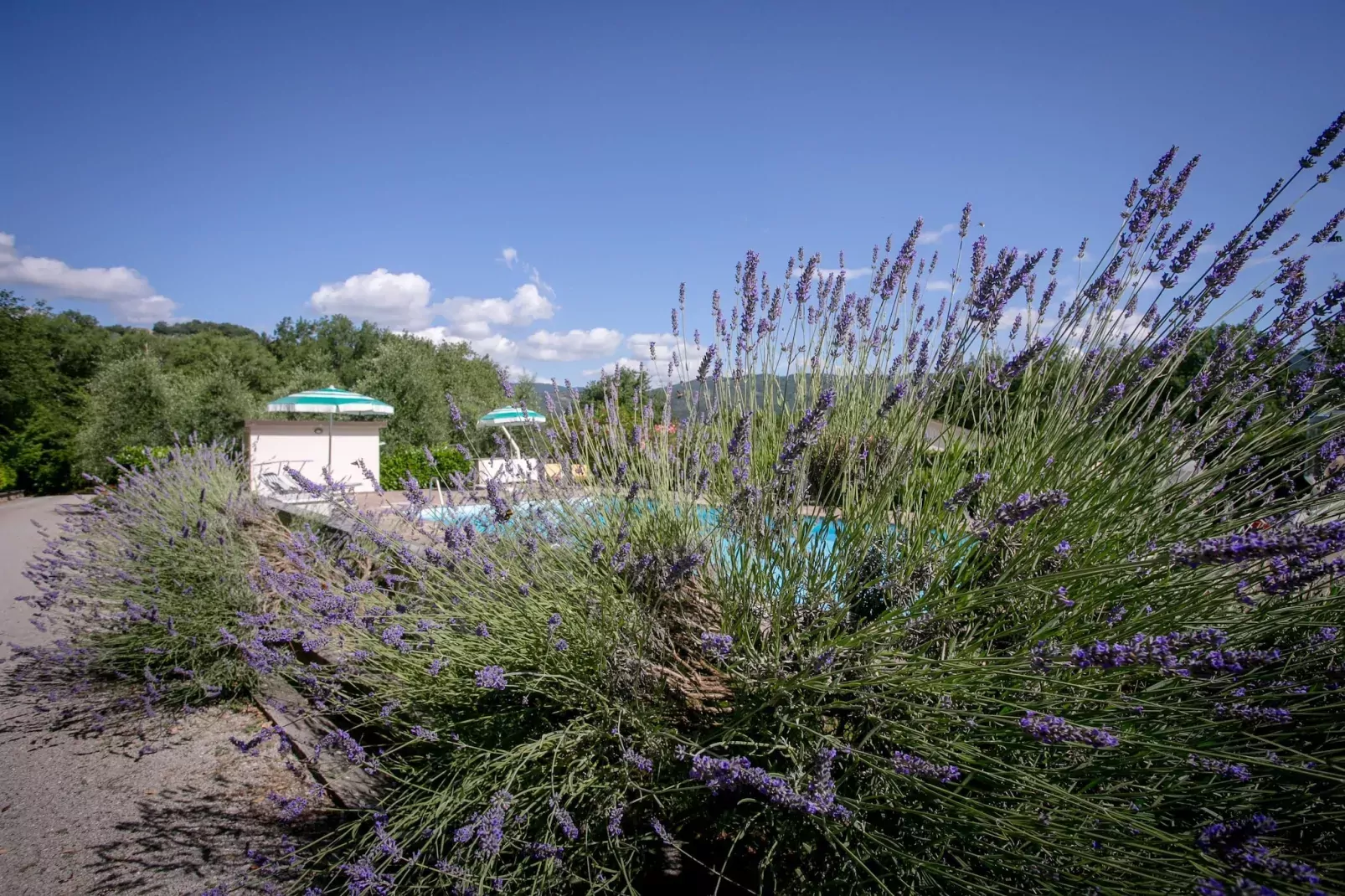 Giardino delle Giare-Landing