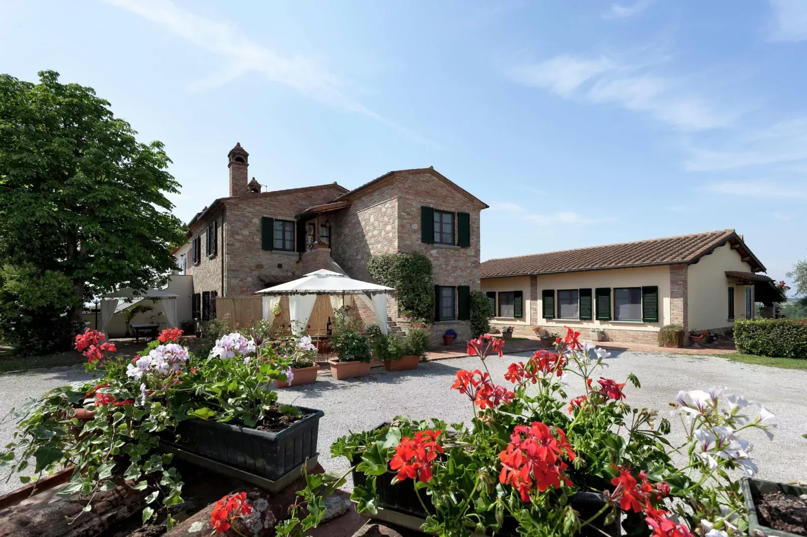 Castagno del Riccio-Außenbereich Sommer