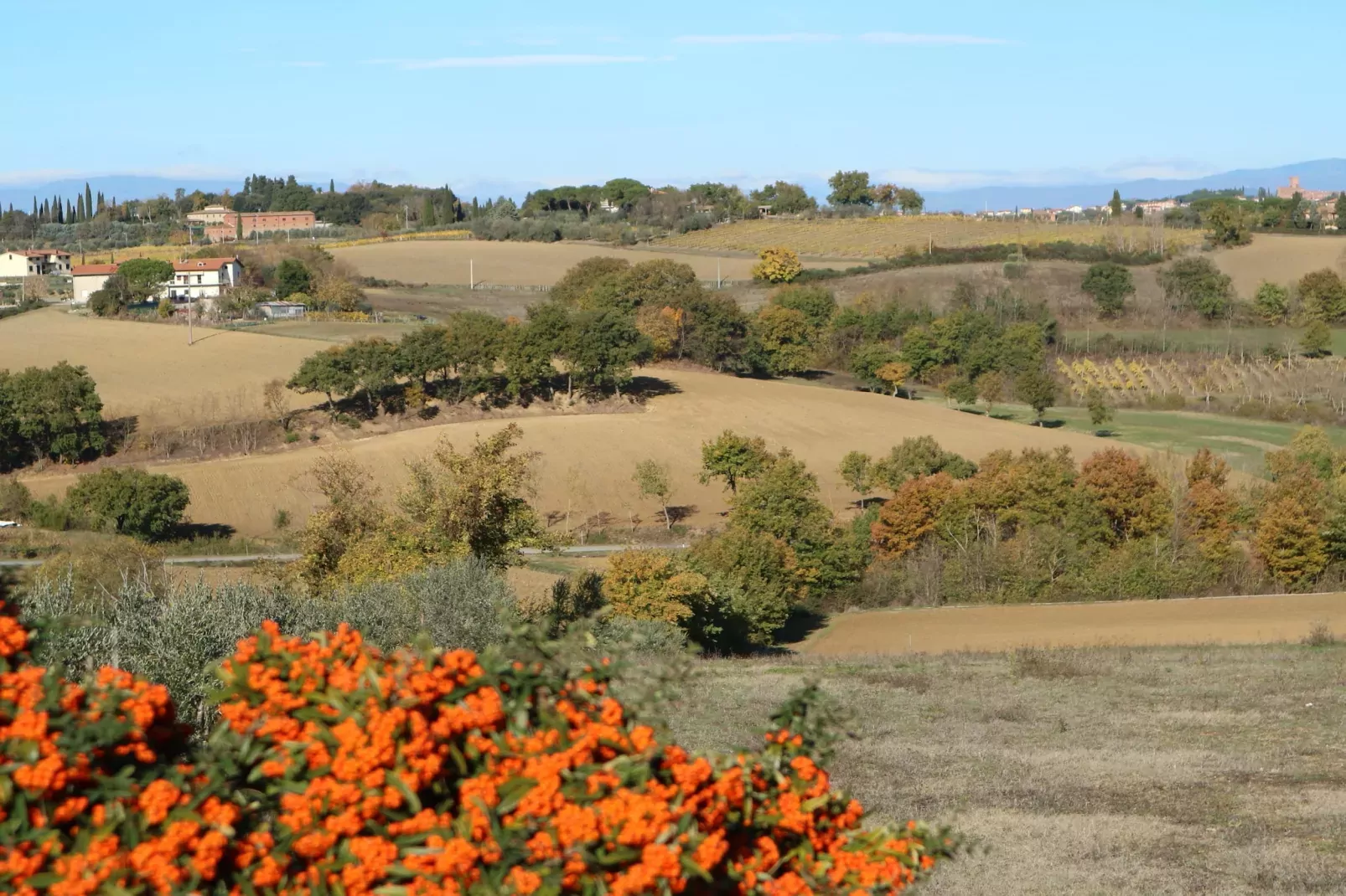 Castagno del Riccio-Ambiente