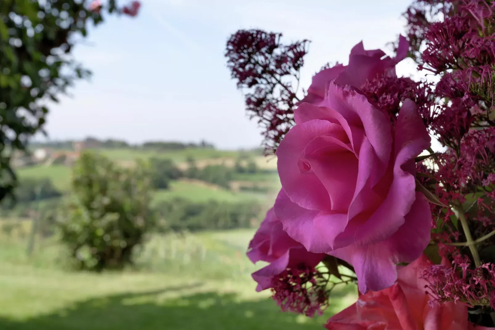 Castagno della Civetta-Außenbereich Sommer