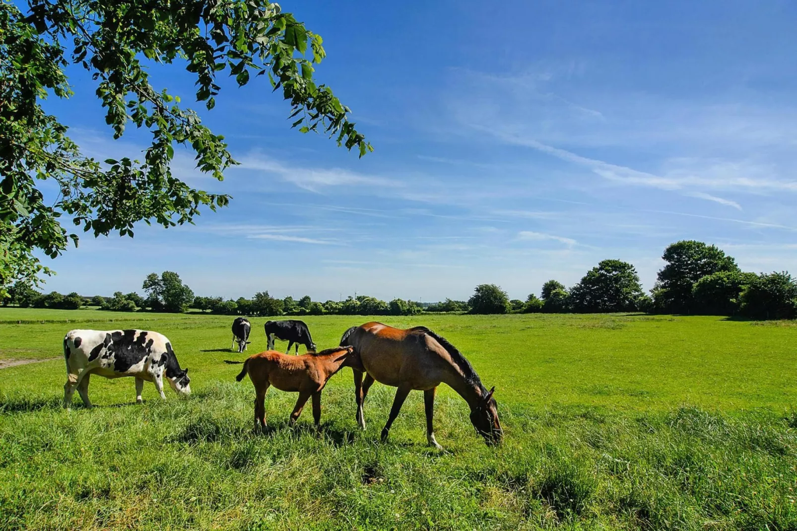 Das Posthus in Behrendorf-Areas summer 5km