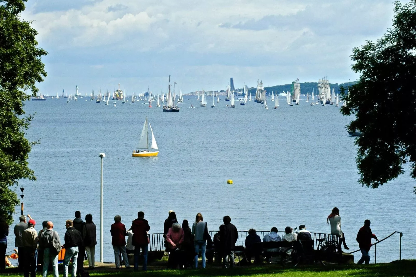 A_MV 4+2*D-Non tagué