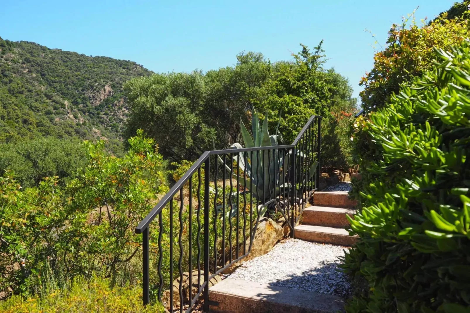 Reihenhaus in Le Lavandou-View summer
