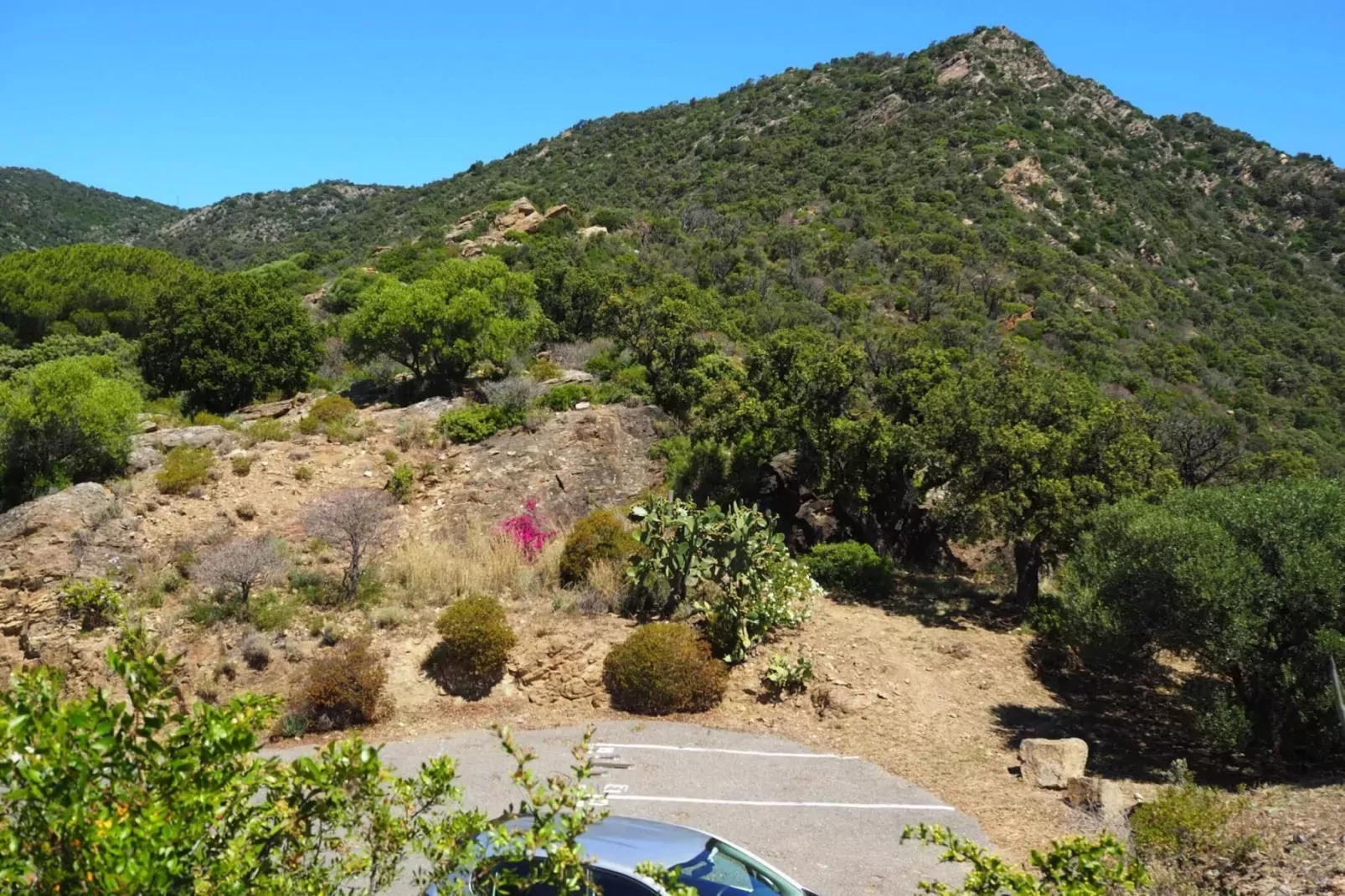 Reihenhaus in Le Lavandou-View summer
