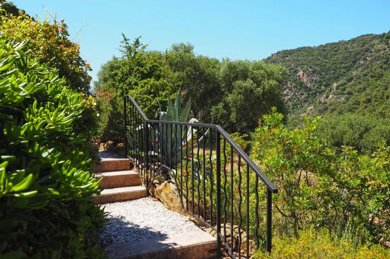 Reihenhaus in Le Lavandou-View summer