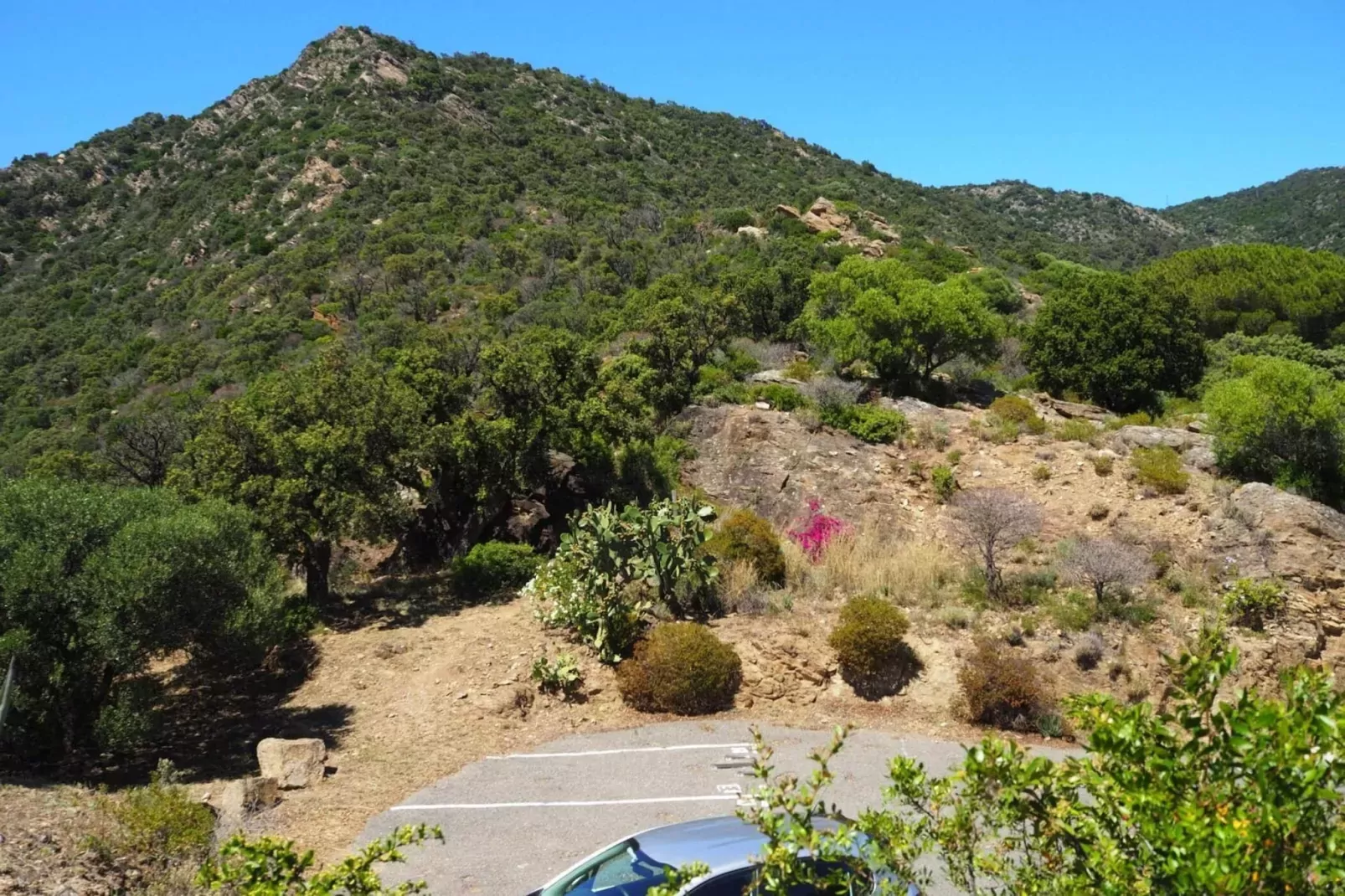 Reihenhaus in Le Lavandou-View summer
