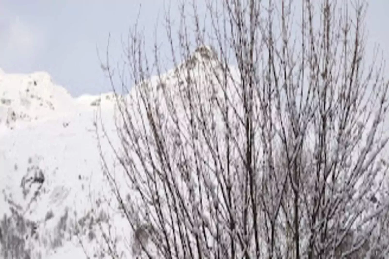Chalet d'Alice-Area winter 5km