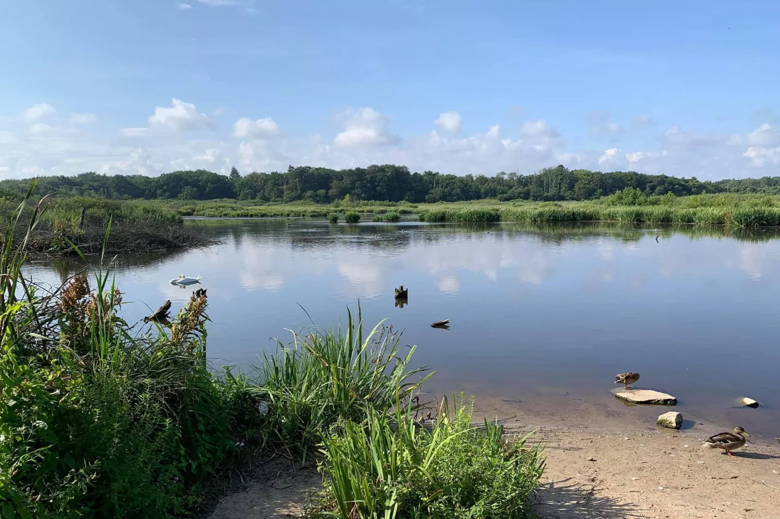 	Całoroczny nowy domek dla 4 osób Ustronie Morskie-Areas summer 5km