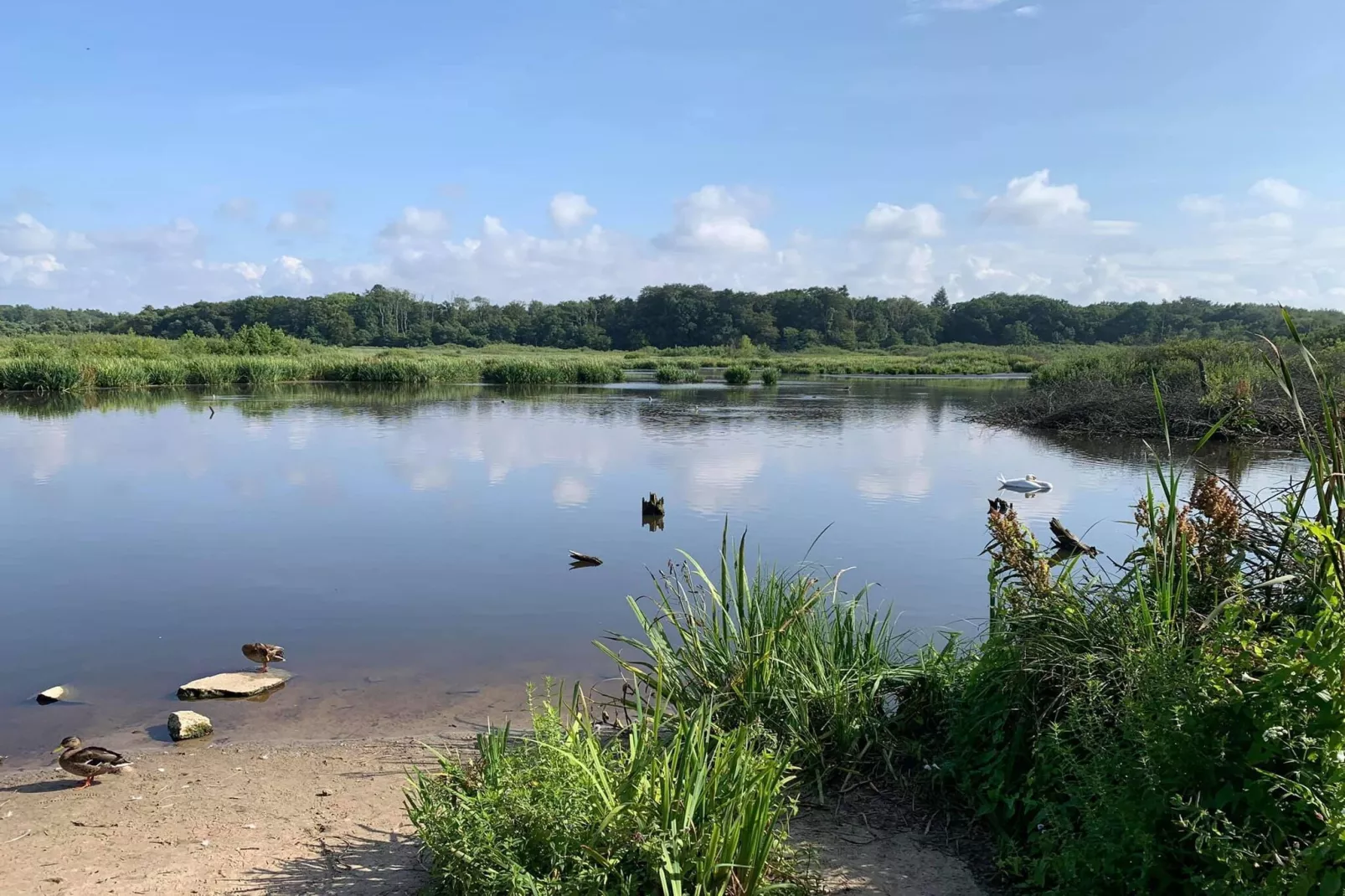 	Całoroczny nowy domek dla 4 osób Ustronie Morskie-Areas summer 5km