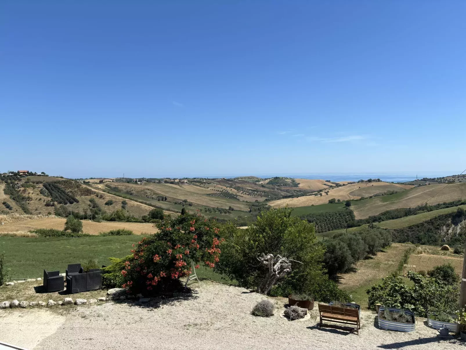 Serrani-Outside