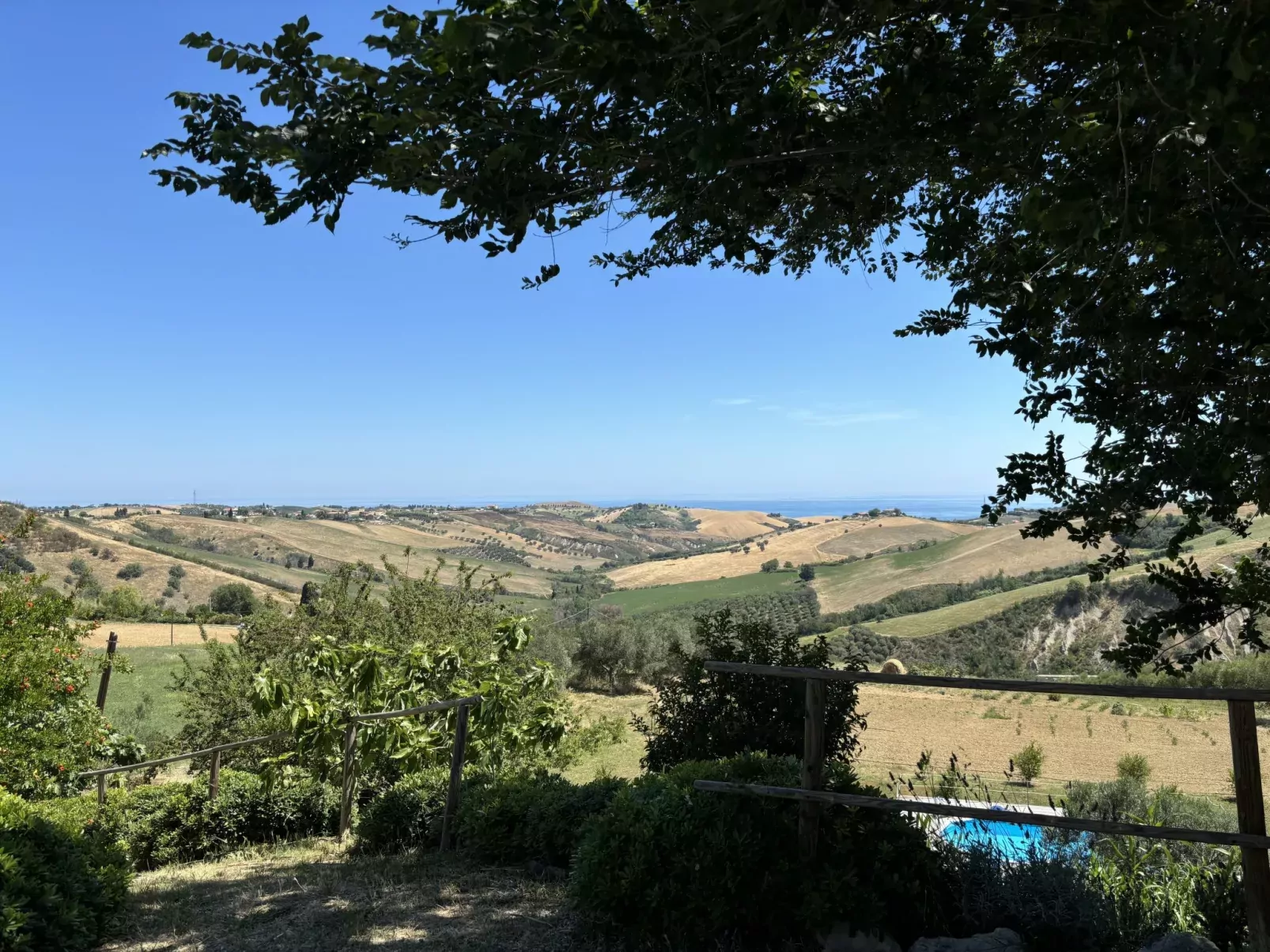 Serrani-Outside