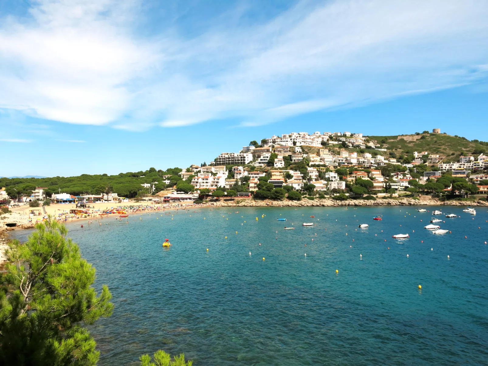 Port del Rei II-Area