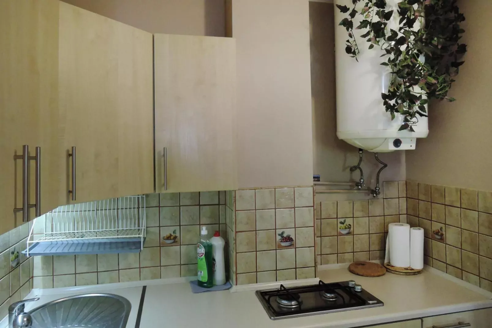 Terraced house Rewal Blizniak-Kitchen