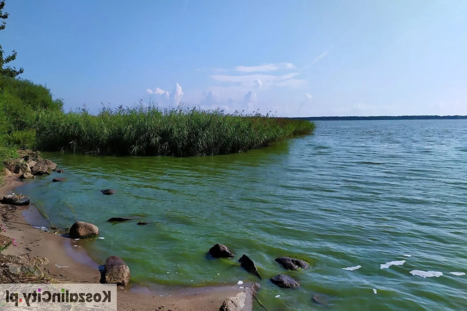 Domek letniskowy 70 m2 TYP B Osieki-Areas summer 5km