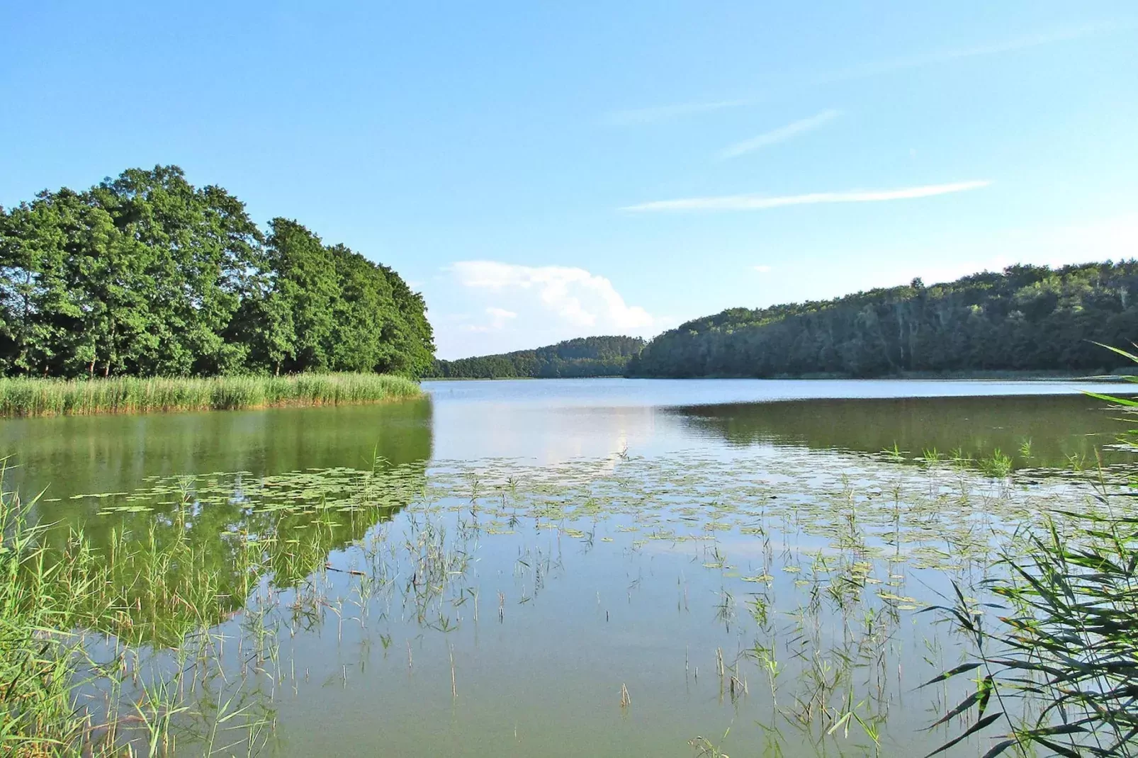 Big holiday home in Kolczewo 170 qm for 6 persons MAZ-Areas summer 1km