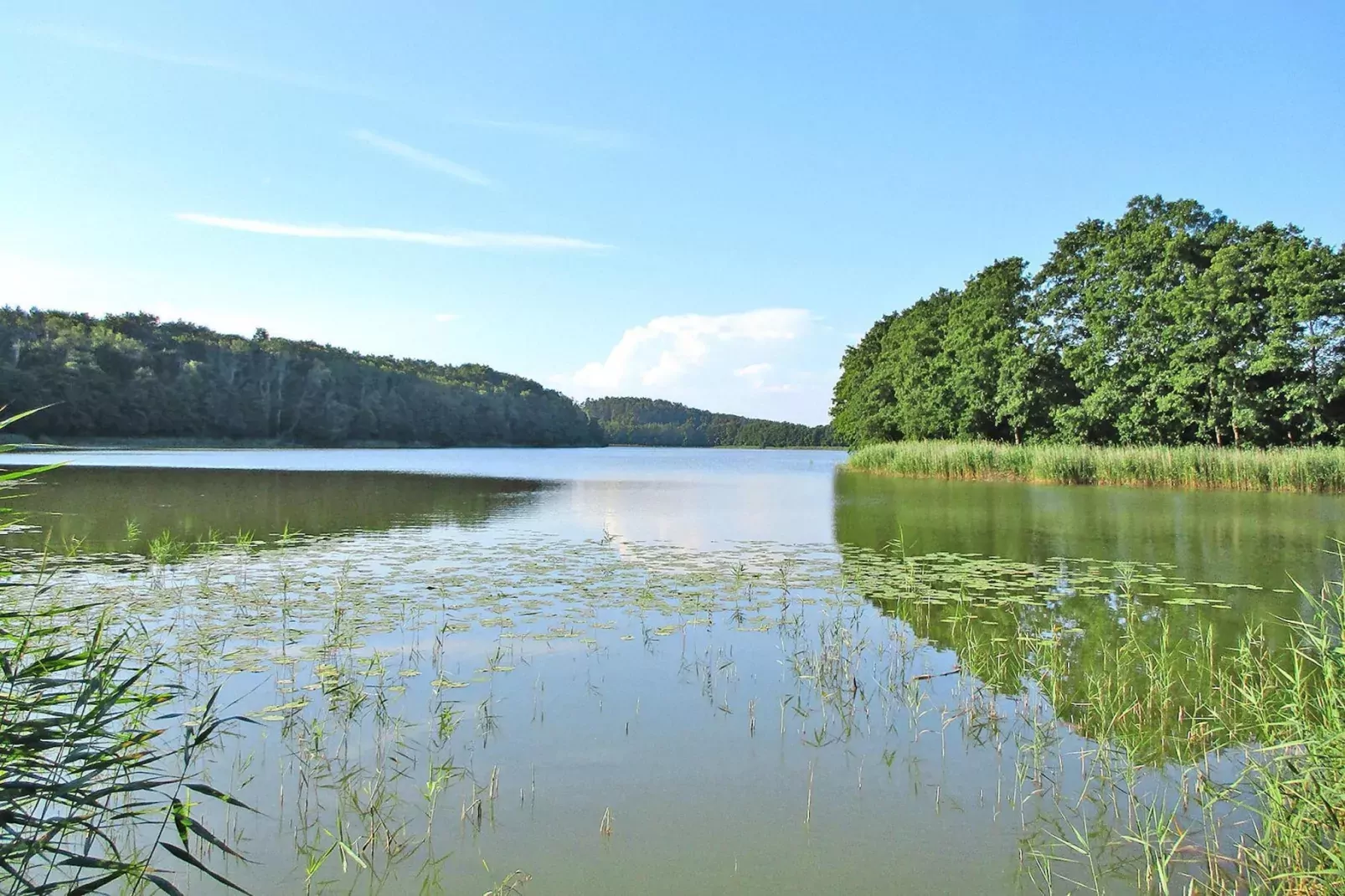 Big holiday home in Kolczewo 170 qm for 6 persons MAZ-Areas summer 1km