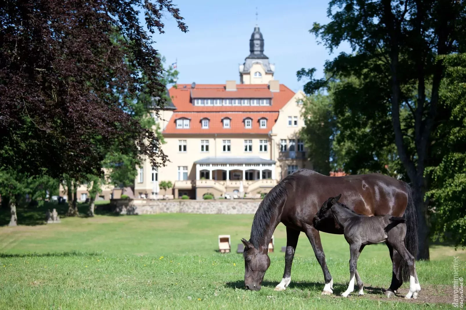 Haus Oliver 200 qm / 1-2 Personen-Außenbereich Sommer