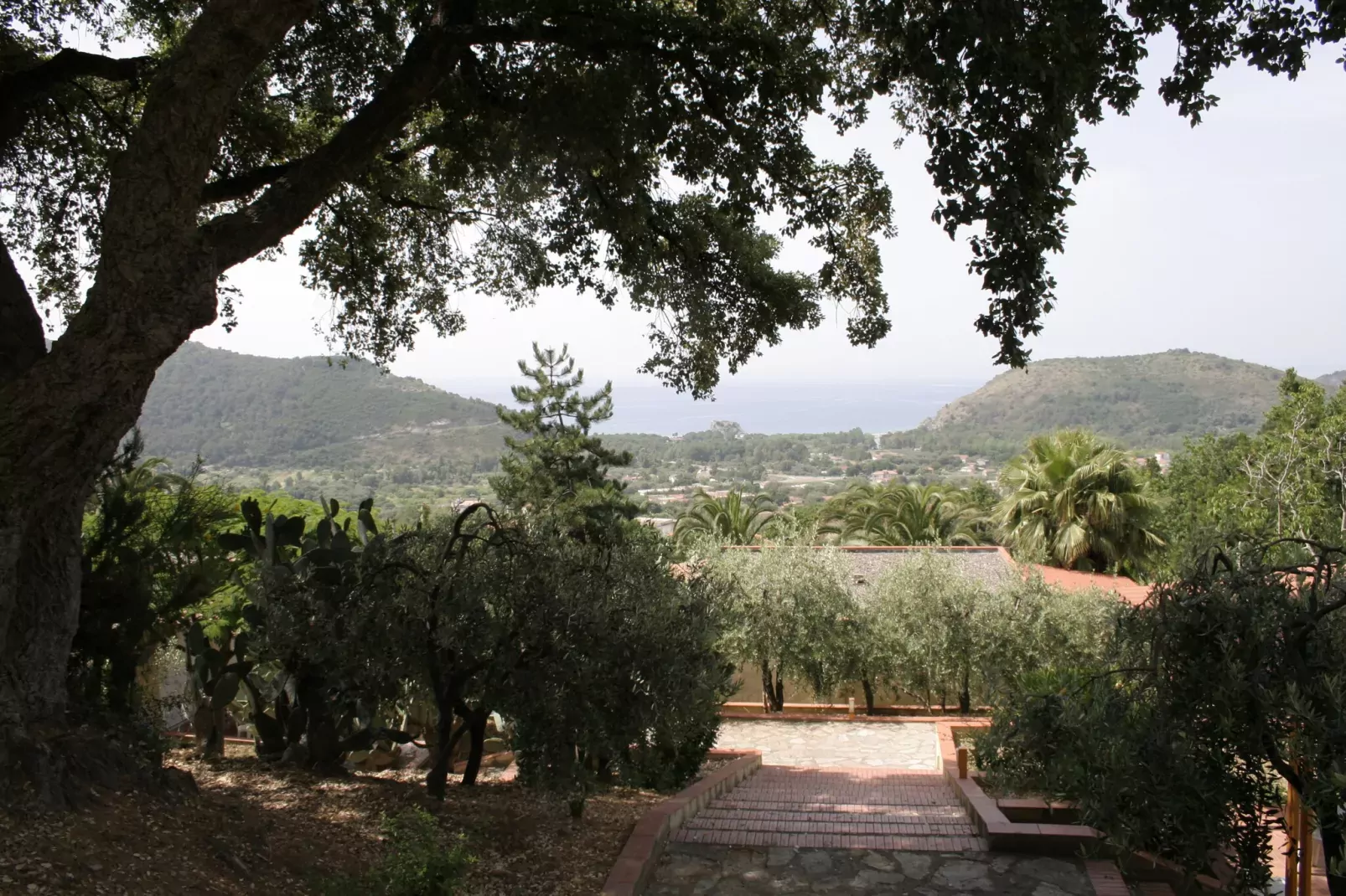 Casa Verde-Exterior summer
