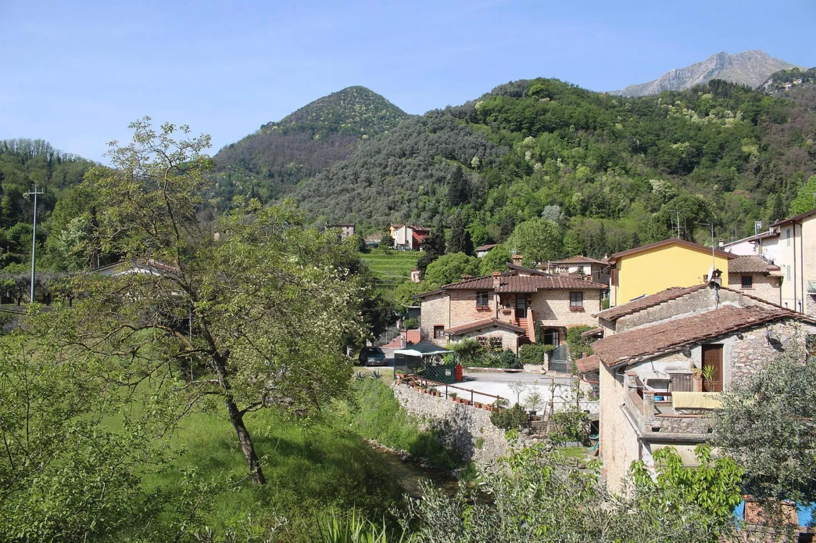 Holiday home Casa Vecchio Frantoio, Camaiore-Lombrici-Casa Vecchio Frantoio-View summer